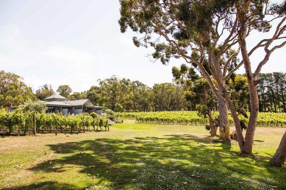 Polperro Villas Red Hill Dış mekan fotoğraf
